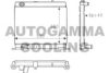 AUTOGAMMA 100790 Radiator, engine cooling